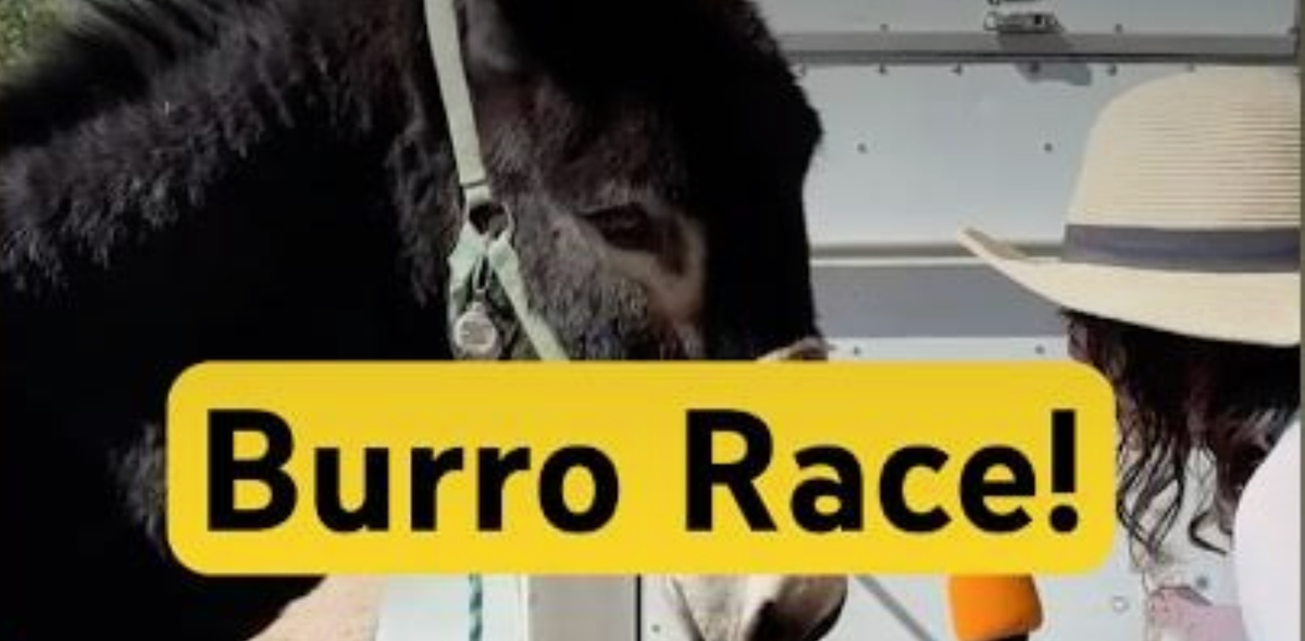 Burro Race